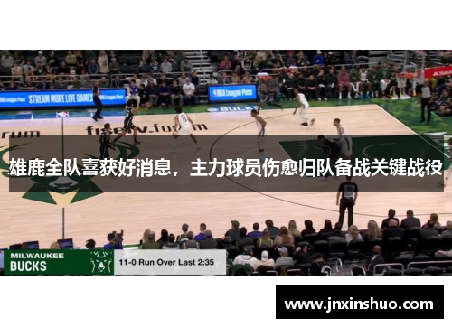 雄鹿全队喜获好消息，主力球员伤愈归队备战关键战役