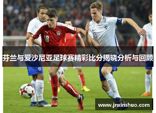 芬兰与爱沙尼亚足球赛精彩比分揭晓分析与回顾