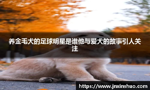 VSport胜利因您更精彩